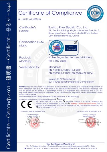 battery RIYEseries CE证书 3J191108.SRESU84